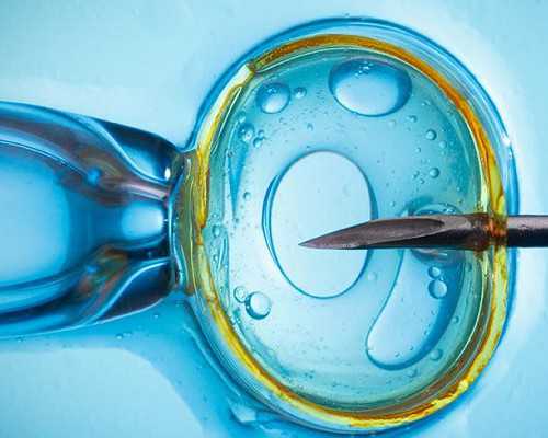 长春找人代孕多少钱可靠吗|长春医院做三代试管婴儿需要花费多少钱？