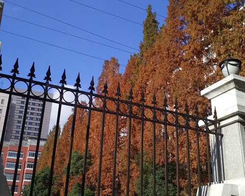 吃叶酸导致月经推迟怎么办（叶酸什么时候吃最好）