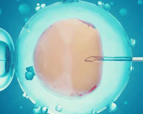 长春正规代孕|长春供卵三代试管婴儿医院排名？试管成功率哪家最好？