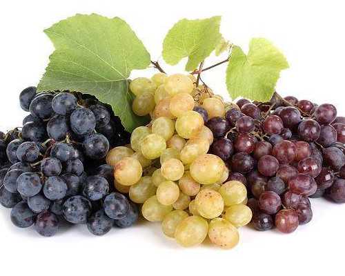 长春试管代孕一般多少钱|吉林大学第二医院(长春试管婴儿医院哪家好)