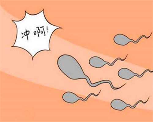 泰国有几家代孕公司_代孕网代生孩子_原来试管婴
