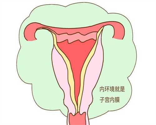 宁波代孕辅助生殖中心成功率_宁波男同性恋找代孕妈妈