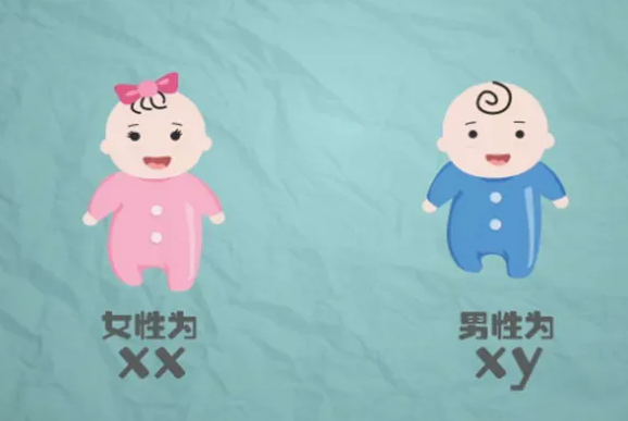宁波供卵移植群 2022宁波妇儿医院试管婴儿成功率一览 ‘做b超怎样看男女’