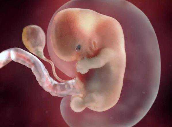 孕晚期胎动频繁是缺氧吗